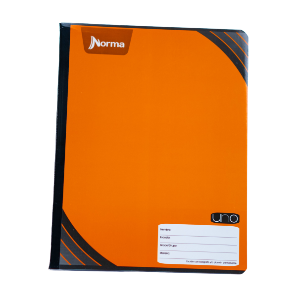 CUADERNO PROF. COSIDO UNO 582881 RAYA 100H C(30)