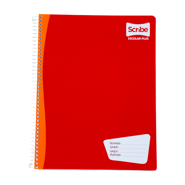 CUADERNO PROF. ESCOLAR SCRIBE 7970 RAYA ESP.100H. C(36)
