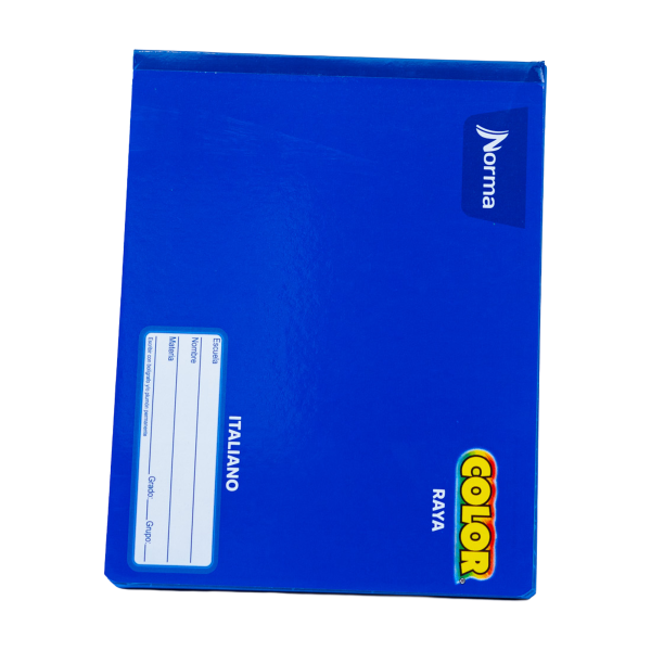 CUADERNO ITAL. COLOR NORMA 581295 RAYA COS. 100H. C(50)