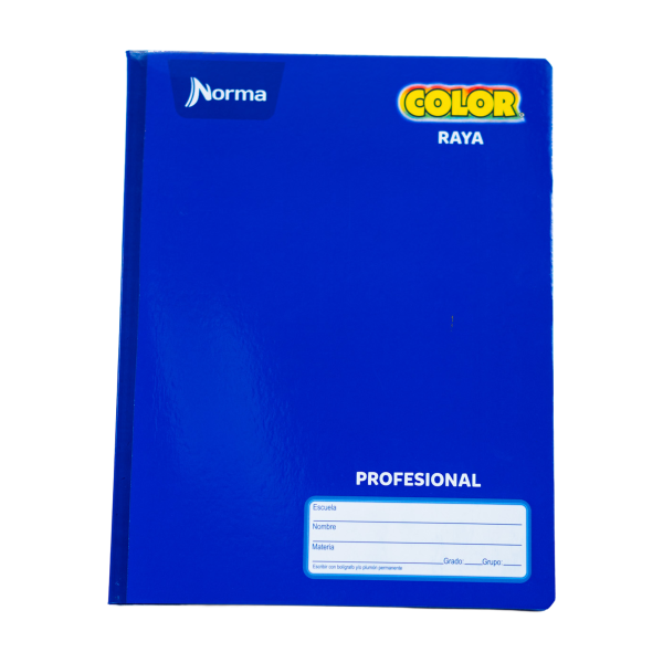 CUADERNO PROF. COLOR NORMA 581280 RAYA COS. 100H. C(30)