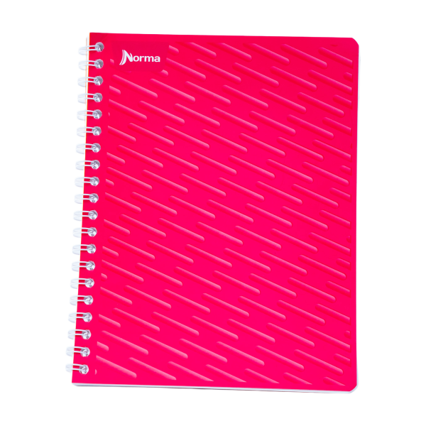 CUADERNO PROF. UNICOLOR NORMA 580813 RAYA ESP. 100H. C.(25)