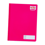 CRAYONES EST.C/12 BACO REGULAR C.(100)