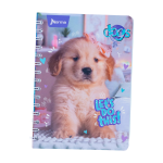 PAPEL LUSTRE GALAS 50X70CM. ROSA PASTEL E.(25) C.(500)